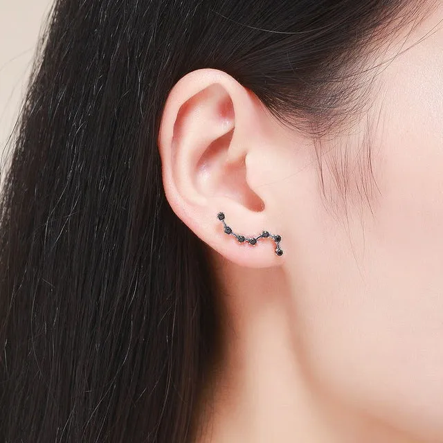 925 Sterling Silver Korean Feather Rose Flower Star Plane Cuff Stud Earrings for Women Fashion Women Earrings 2018 brincos s925