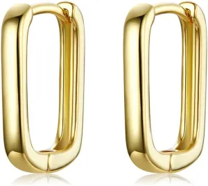 BISAER 925 Sterling Silver Cute Hoop Earrings for Women Hypoallergenic Small Sleeper Tragus Hoop Earrings Cartilage Jewelry Gifts