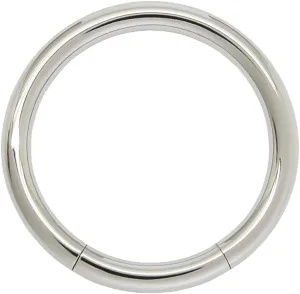 FIFTH CUE Seamless 316L Surgical Steel Segment Ring