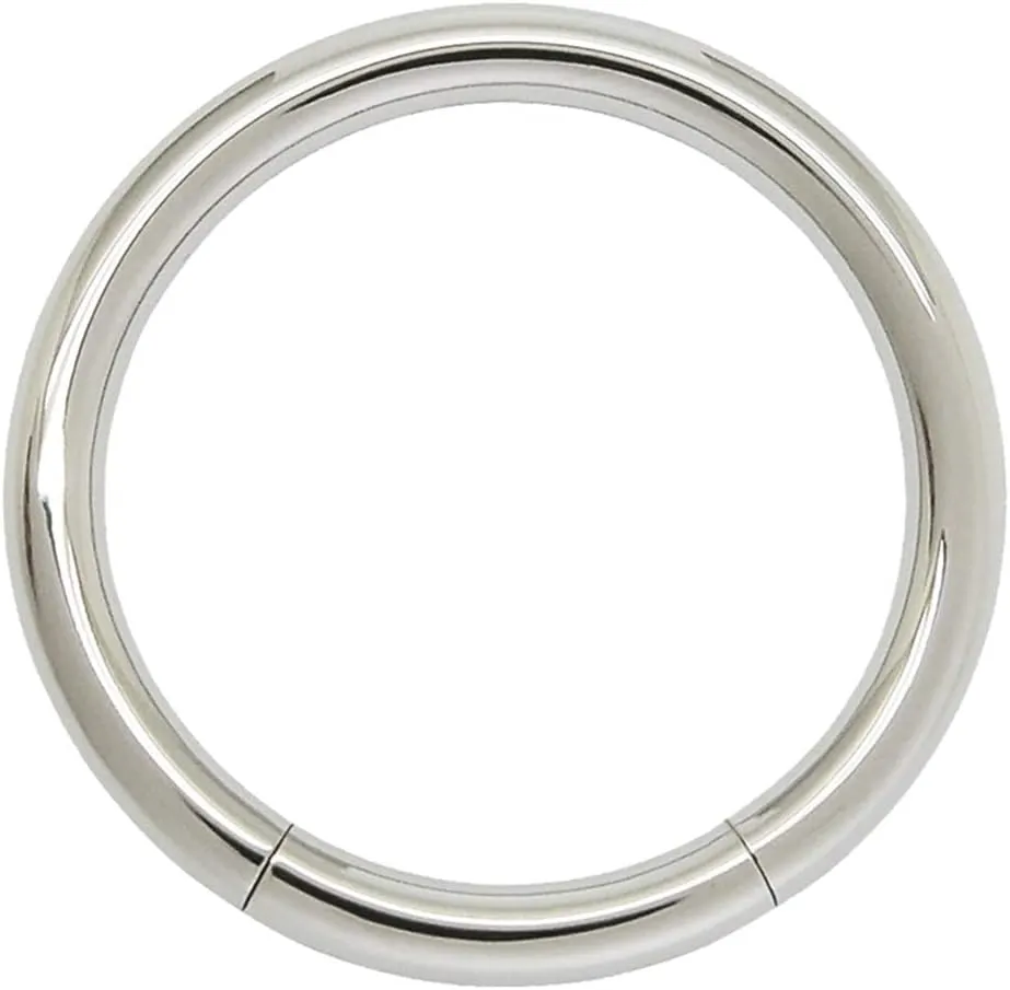 FIFTH CUE Seamless 316L Surgical Steel Segment Ring