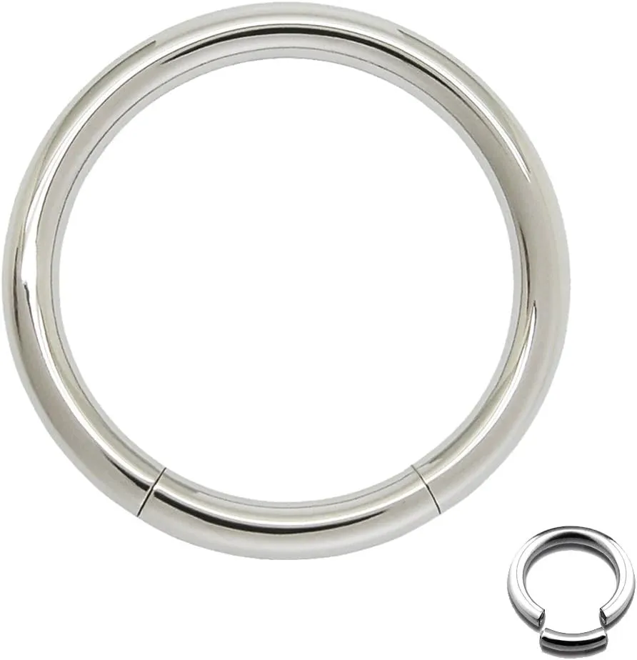 FIFTH CUE Seamless 316L Surgical Steel Segment Ring