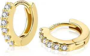 Hypoallergenic 14K Gold Plated 925 Sterling Silver Earrings