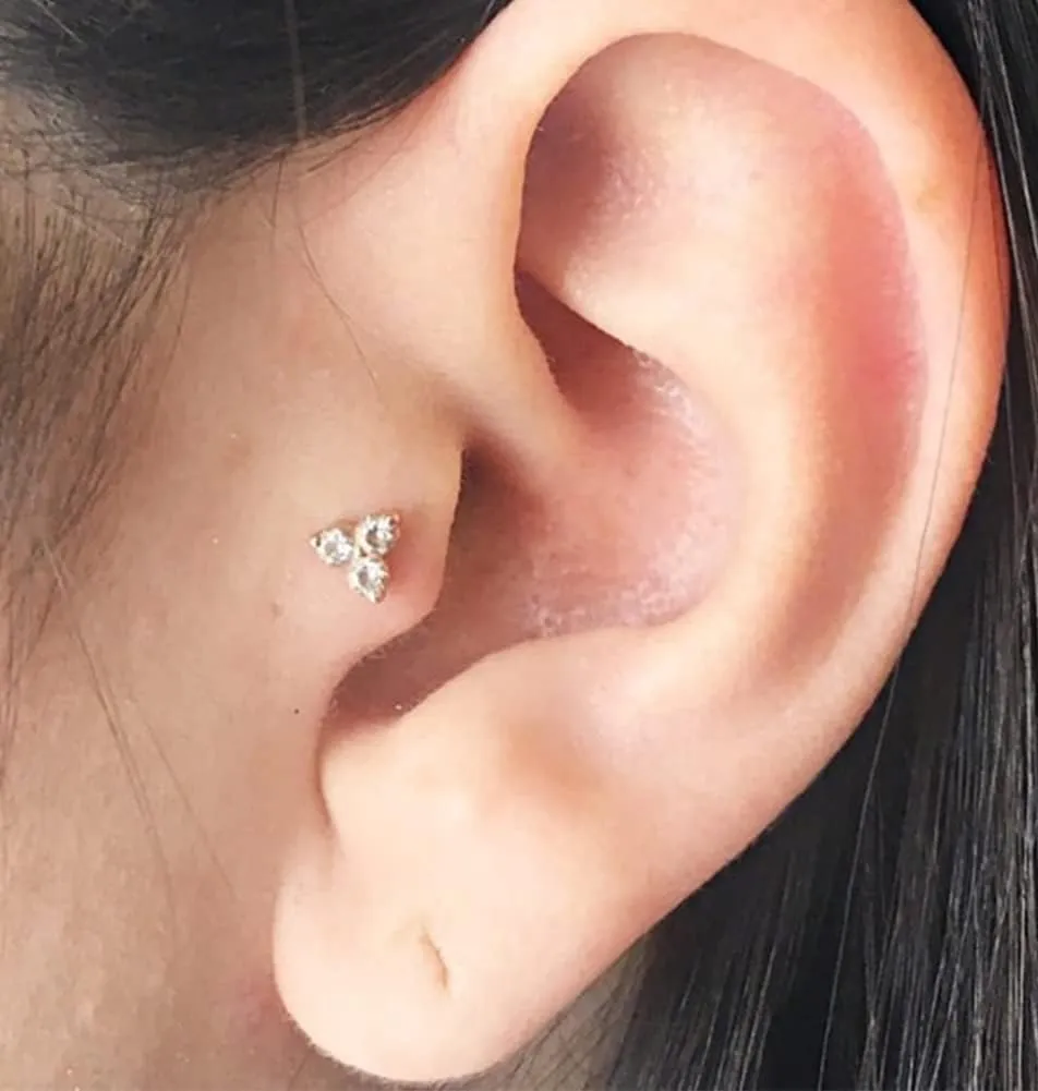 MODRSA Silver & Gold Threadless Nose Studs 20g & 18g Flat Back, Cartilage & Conch Earring Studs for Women 6mm & 8mm