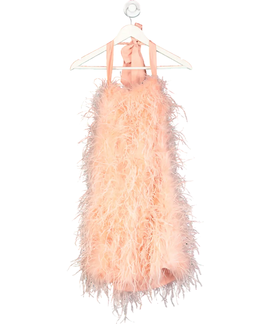 Saffiyyah Paul Pink Peach High Neck Feather Dress UK S